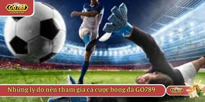 Những lý do nên tham gia cá cược bóng đá GO789